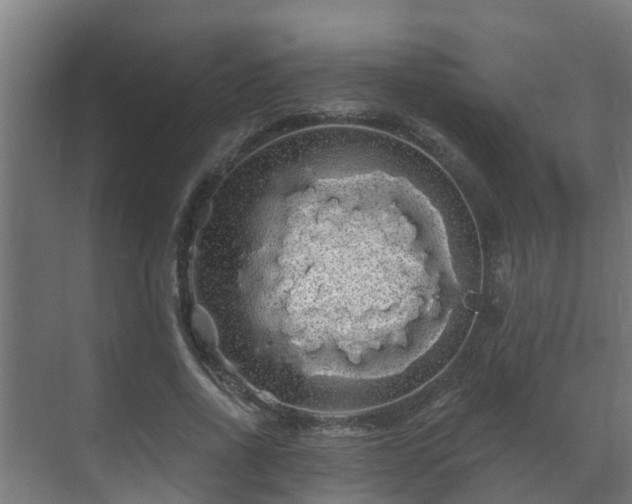 X0000071330734200606261246