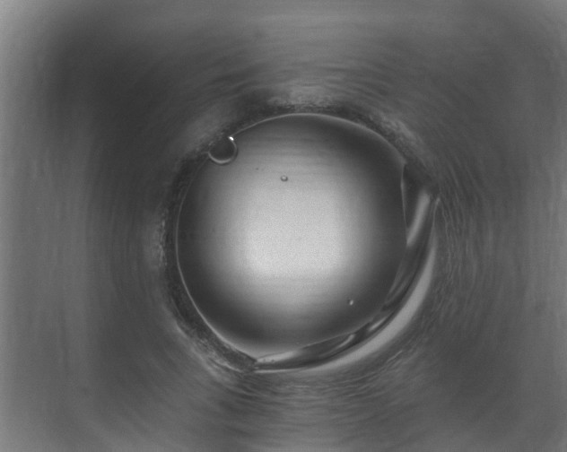 X0000071330735200606261246