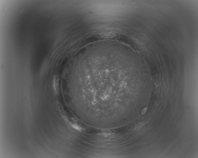 X0000071330745200606261246