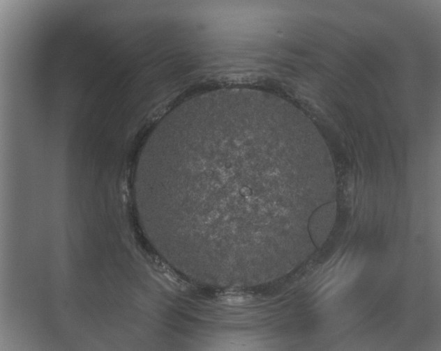 X0000071330746200606261246