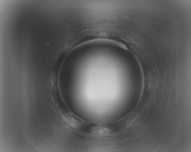 X0000071330747200606261246