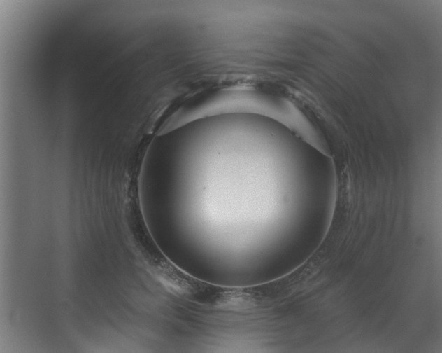 X0000071330750200606261246