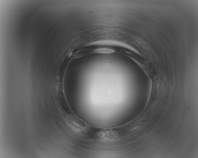 X0000071330752200606261246