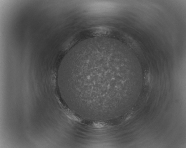 X0000071330753200606261246