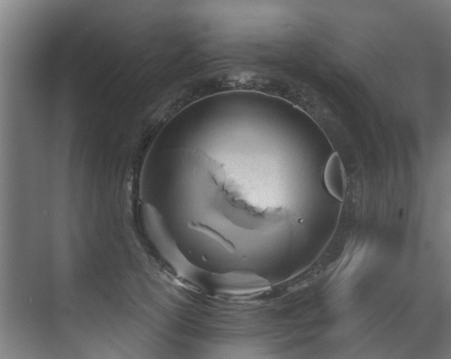 X0000071330754200606261246