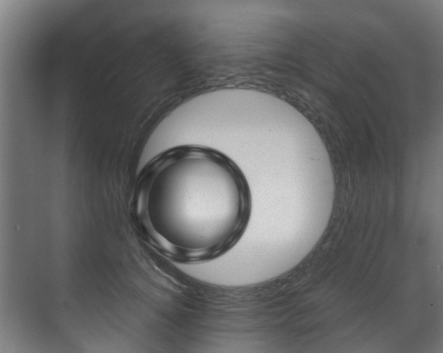 X0000071330756200606261246