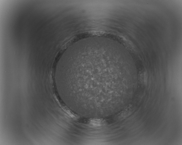 X0000071330757200606261246