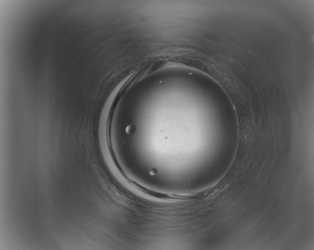 X0000071330758200606261246