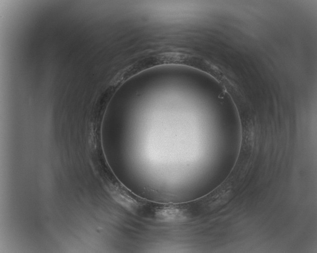 X0000071330759200606261246