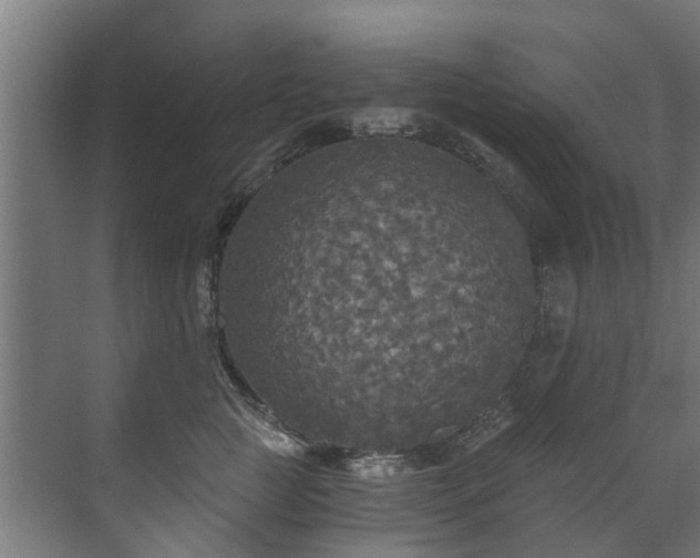 X0000071330761200606261246