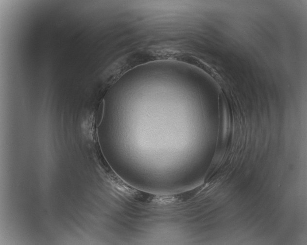 X0000071330767200606261246