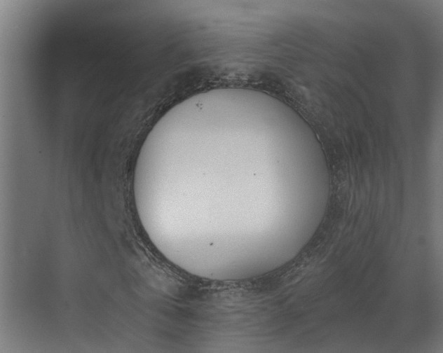 X0000071330769200606261246