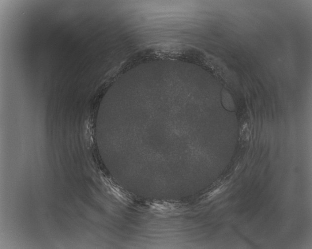 X0000071330772200606261246