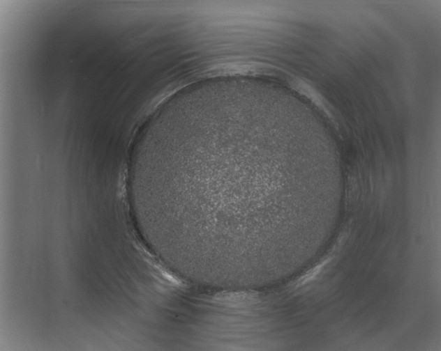 X0000071330778200606261246