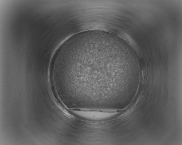 X0000071330780200606261245