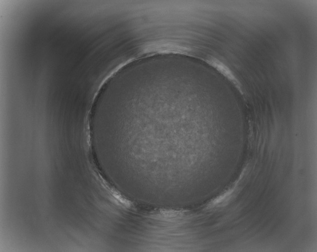 X0000071330782200606261245