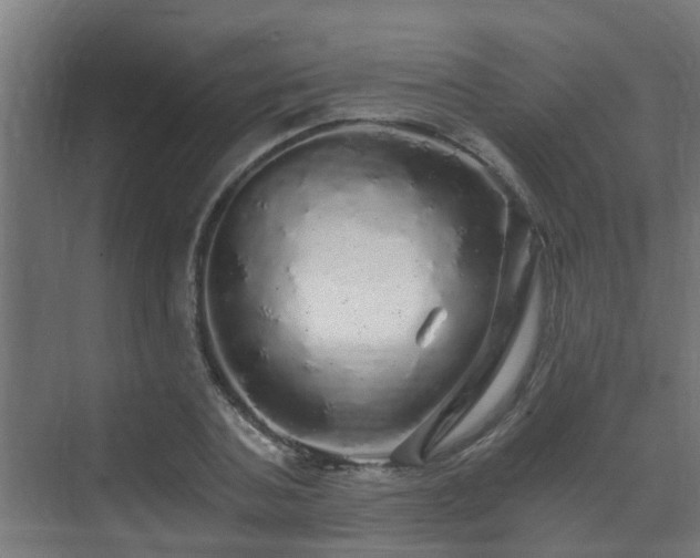 X0000071330787200606261245