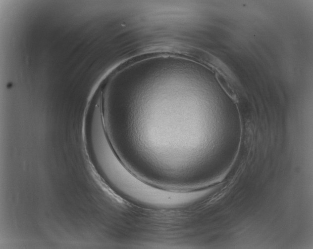 X0000071330788200606261245