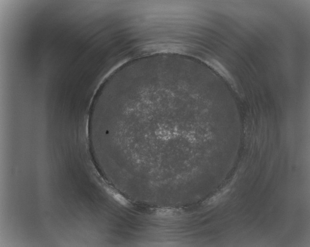 X0000071330790200606261245