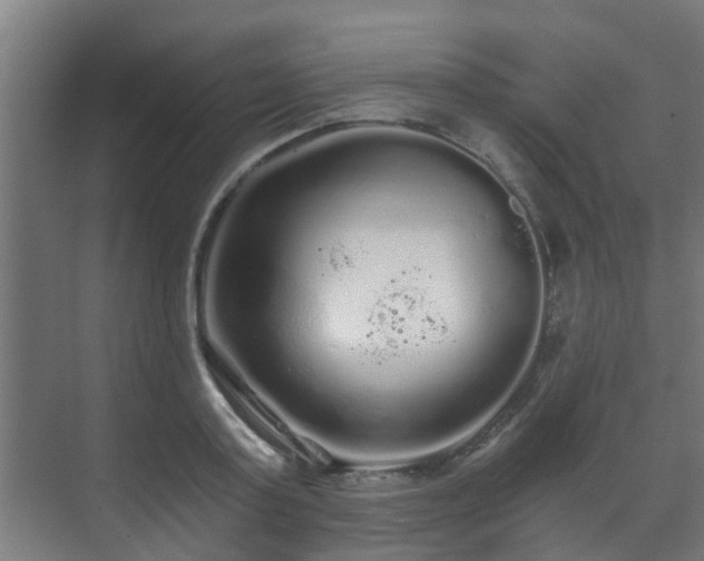 X0000071330795200606261245