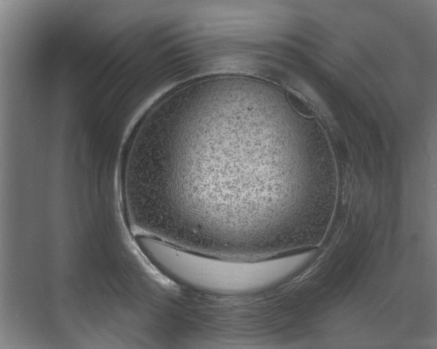 X0000071330796200606261245