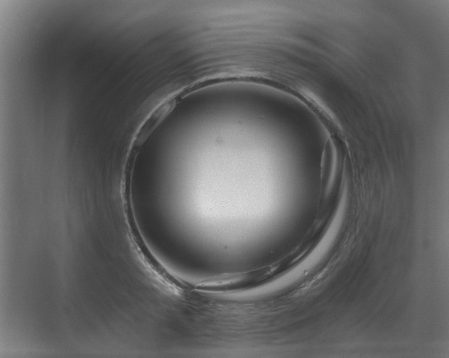 X0000071330797200606261245