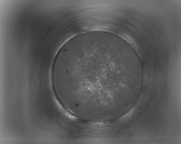 X0000071330798200606261245