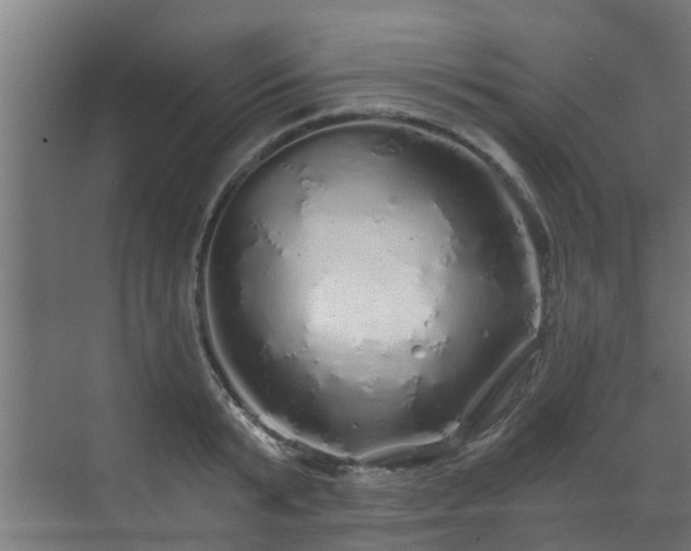 X0000071330799200606261245