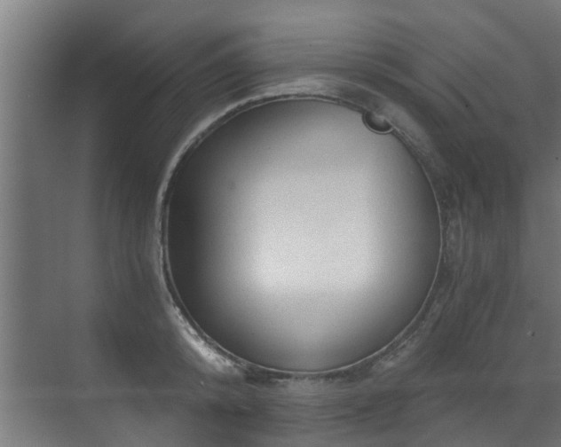 X0000071330800200606261245