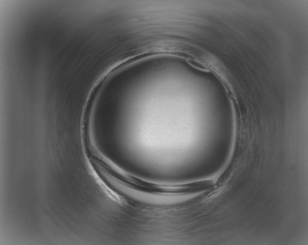 X0000071330803200606261245