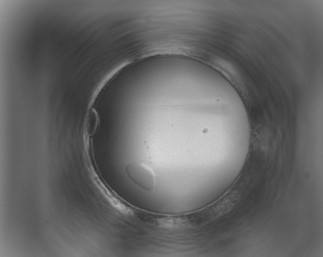 X0000071330804200606261245