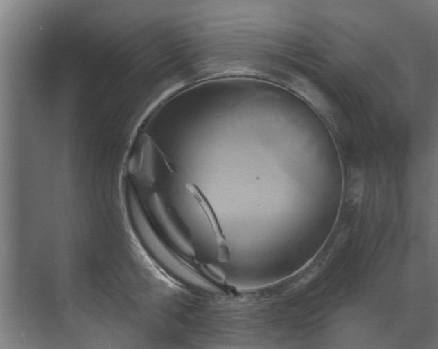 X0000071330806200606261245