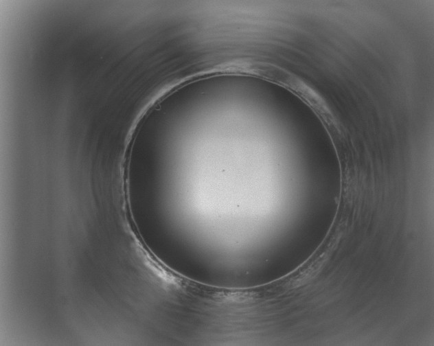 X0000071330808200606261245