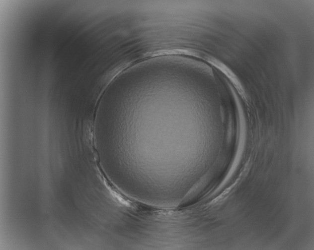 X0000071330809200606261245