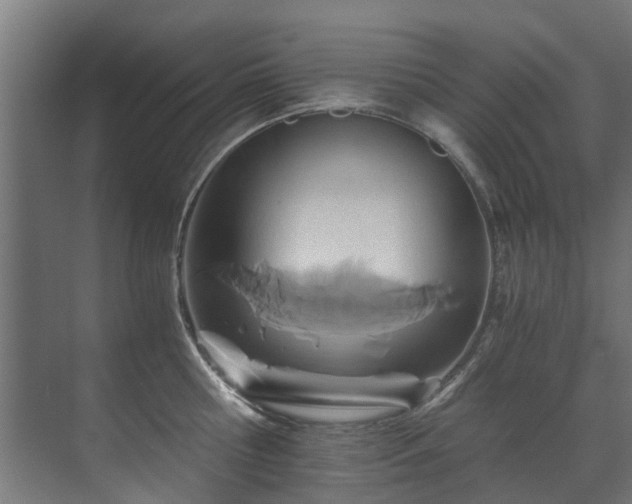 X0000071330810200606261245