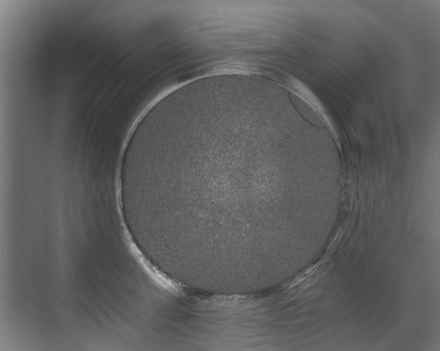 X0000071330811200606261245