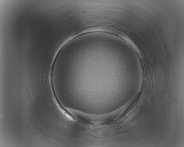 X0000071330813200606261245