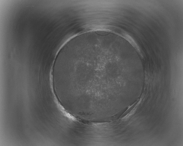 X0000071330814200606261245