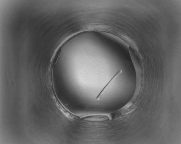 X0000071330816200606261245