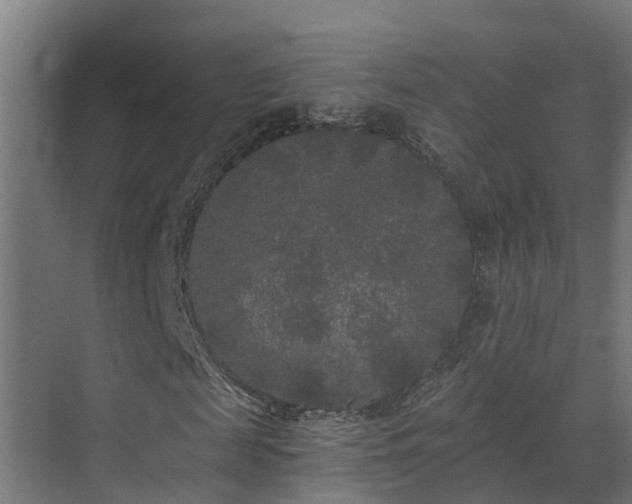 X0000071330817200606261244