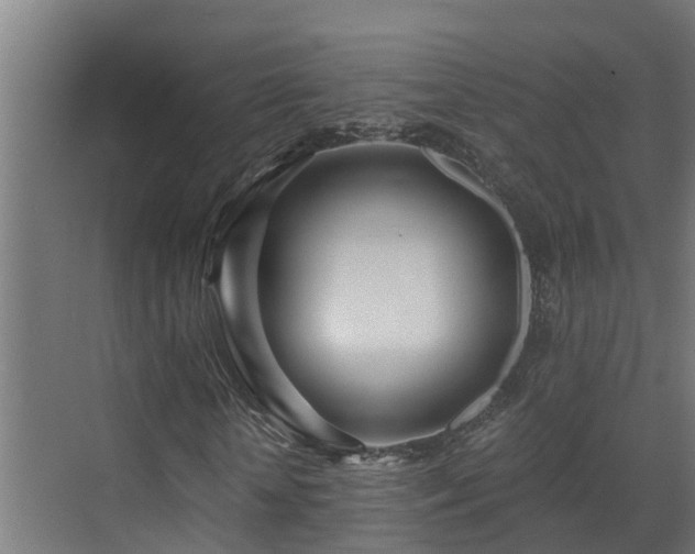 X0000071330818200606261244