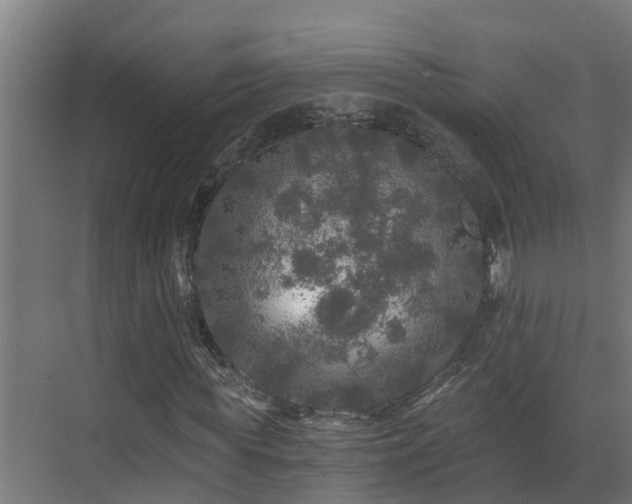 X0000071330819200606261244