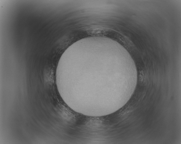 X0000071330820200606261244