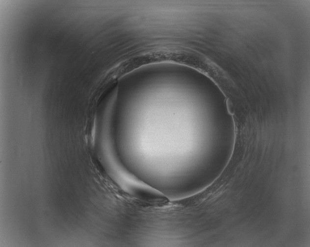 X0000071330822200606261244