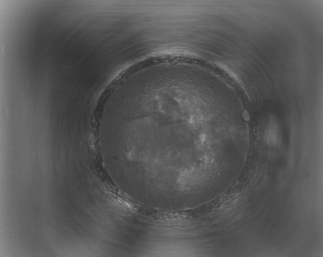 X0000071330823200606261244