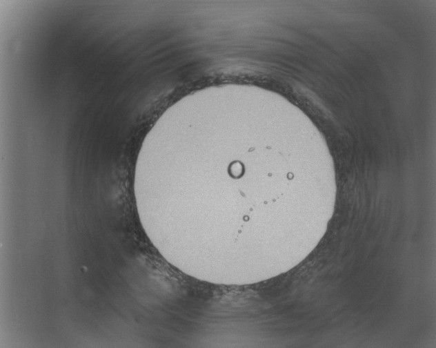 X0000071330824200606261244