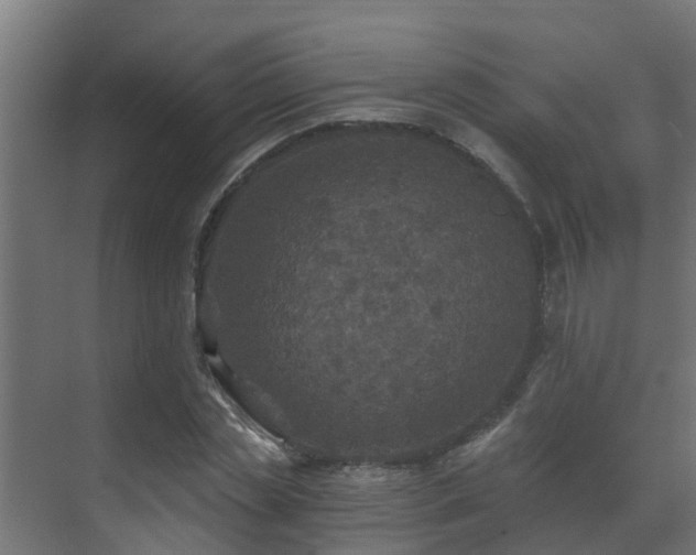 X0000071330829200606261244