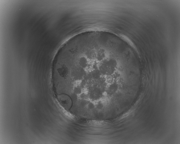 X0000071330831200606261244