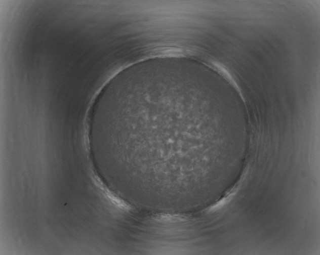 X0000071330835200606261244