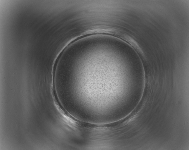 X0000071330844200606261245